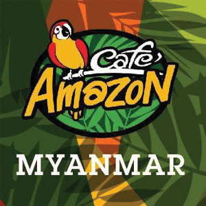 Cafe Amazon